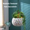 20 Pcs Colorful Mini Artificial Succulent Plants – Small Faux Potted Plant Style Succulents for DIY Crafts, Terrarium, Wall Decor, Home & Office Decoration (Unpotted)